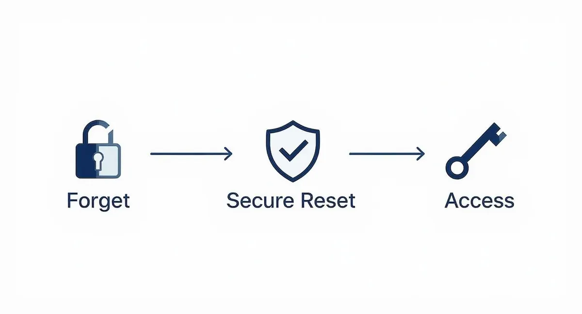 Infographic about resetare parola email